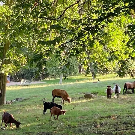 Appartamento Grosses Familienapartment Mitten In Der *